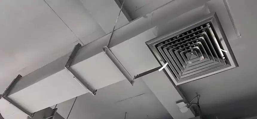 Our Pest Removal From Ducts Services in Suitland, MD