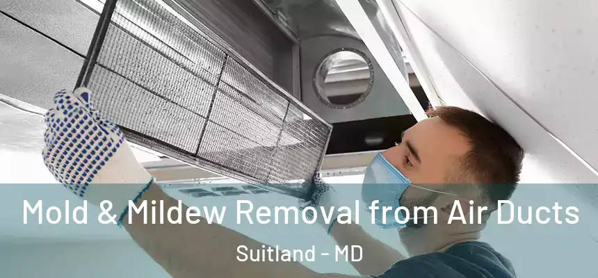  Mold & Mildew Removal from Air Ducts Suitland - MD