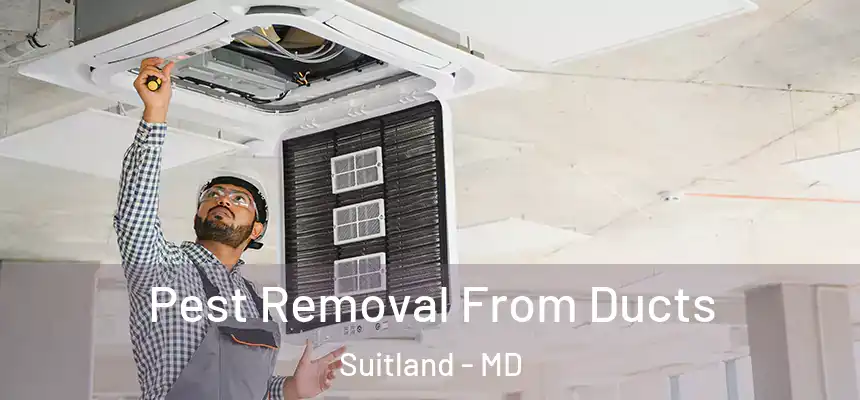  Pest Removal From Ducts Suitland - MD