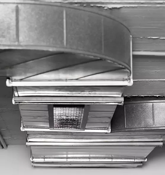 Professional Air Duct Pet Hair Removal in Suitland, MD