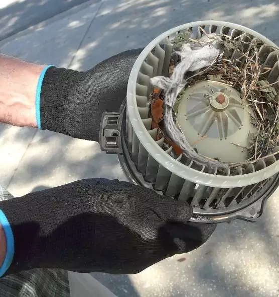 About Air Duct Rat Removal in Suitland, MD