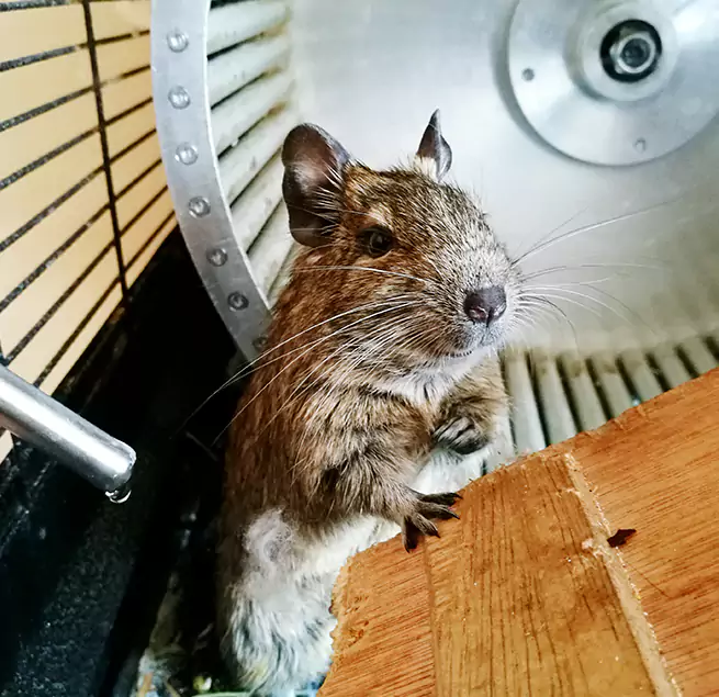 Why Homeowners & Businesses Trust Us Suitland, MD?