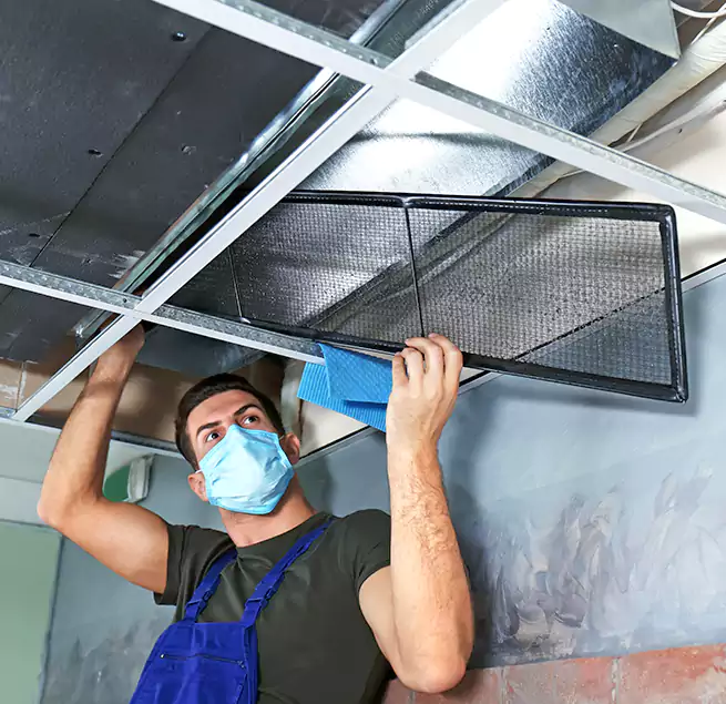 Why Homeowners Businesses Trust Us in Suitland, MD